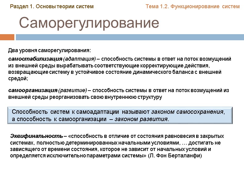 Саморегулирование Два уровня саморегулирования: самостабилизация (адаптация) – способность системы в ответ на поток возмущений Саморегулирование Два уровня саморегулирования: самостабилизация (адаптация) – способность системы в ответ на поток возмущений